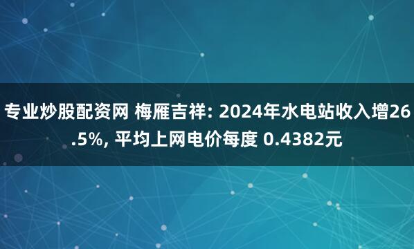 专业炒股配资网 梅雁吉祥: 2024年水电站收入增26.5%, 平均上网电价每度 0.4382元