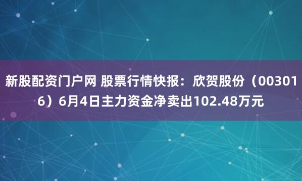 新股配资门户网 股票行情快报：欣贺股份（003016）6月4日主力资金净卖出102.48万元