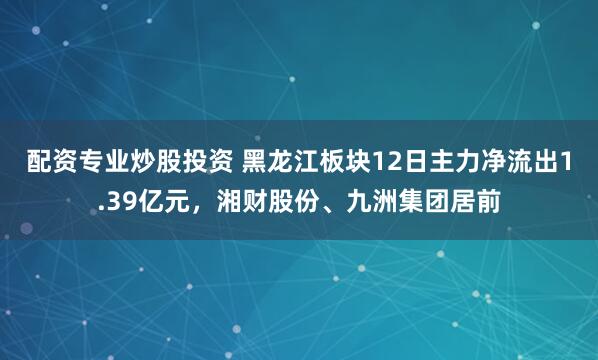 配资专业炒股投资 黑龙江板块12日主力净流出1.39亿元，湘财股份、九洲集团居前