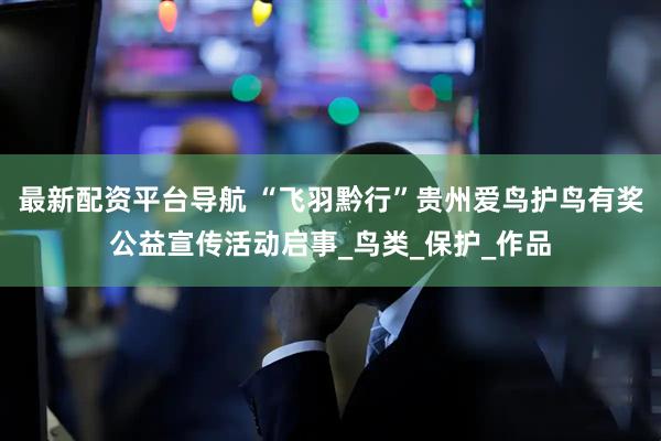 最新配资平台导航 “飞羽黔行”贵州爱鸟护鸟有奖公益宣传活动启事_鸟类_保护_作品